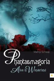 Omslag van Phantasmagoria