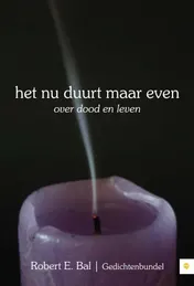 Omslag van Het nu duurt maar even