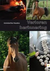 Omslag van Verloren herinnering