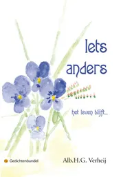 Omslag van Iets anders