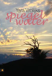 Omslag van Spiegelwater