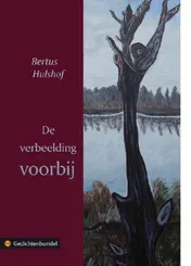 Omslag van De verbeelding voorbij