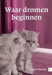 Omslag van Waar dromen beginnen