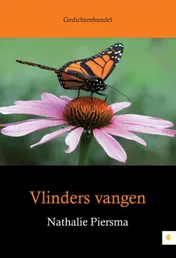 Omslag van Vlinders vangen
