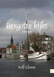 Omslag van Bergotte kijkt