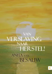 Omslag van Van verslaving naar herstel!