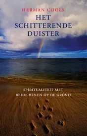 Omslag van Het schitterende duister