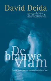 Omslag van De blauwe vlam