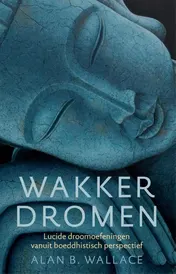 Omslag van Wakker dromen