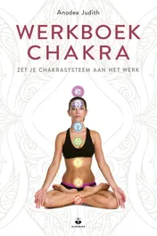 Omslag van Werkboek chakra