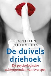 Omslag van De duivelsdriehoek