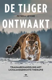 Omslag van De tijger ontwaakt