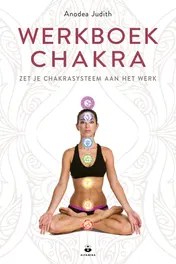 Omslag van Werkboek chakra's