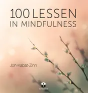 Omslag van 100 lessen in mindfulness