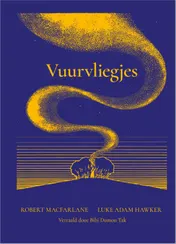 Omslag van Vuurvliegjes