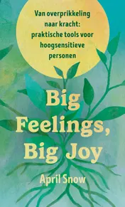 Omslag van Big Feelings, Big Joy