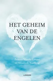 Omslag van Het geheim van de engelen