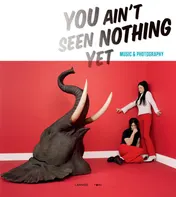 Omslag van You ain t seen nothing yet