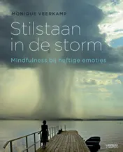 Omslag van Stilstaan in de storm