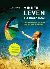 Omslag van Mindful leven bij tegenslag