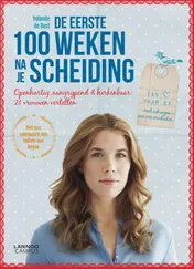 Omslag van De eerste 100 weken na je scheiding