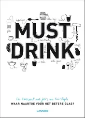 Omslag van Must drink
