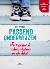 Omslag van Passend onderwijzen