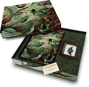 Omslag van Box of Wonders - Wonders are collectible
