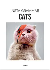 Omslag van Cats