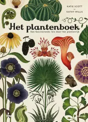 Omslag van Het plantenboek