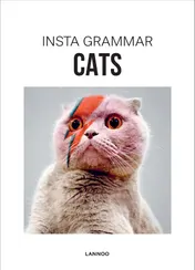 Omslag van Cats