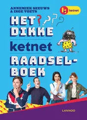 Omslag van Het dikke Ketnet raadselboek