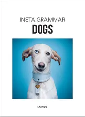 Omslag van Dogs