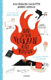 Omslag van Hoe je een vulkaan kunt blussen