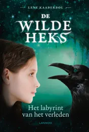 Omslag van Het labyrint van het verleden