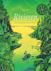 Omslag van Rivieren