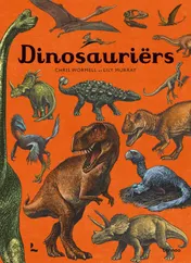 Omslag van Dinosauriërs