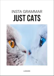 Omslag van Insta Grammar - Just Cats