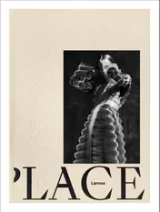 Omslag van P.LACE.S - De verborgen kant van Antwerpen
