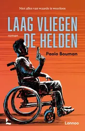 Omslag van Laag vliegen de helden