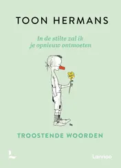 Omslag van In de stilte zal ik je opnieuw ontmoeten