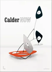 Omslag van Calder Now