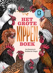 Omslag van Het grote kippenboek