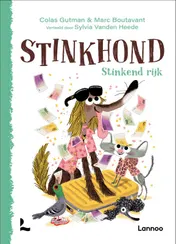 Omslag van Stinkend rijk
