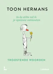 Omslag van In de stilte zal ik je opnieuw ontmoeten