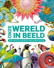 Omslag van Onze wereld in beeld