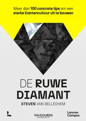 Omslag van De ruwe diamant
