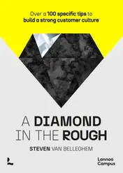 Omslag van A diamond in the rough