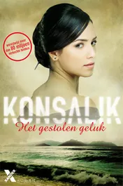 Omslag van Het gestolen geluk