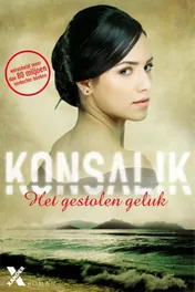 Omslag van Het gestolen geluk
